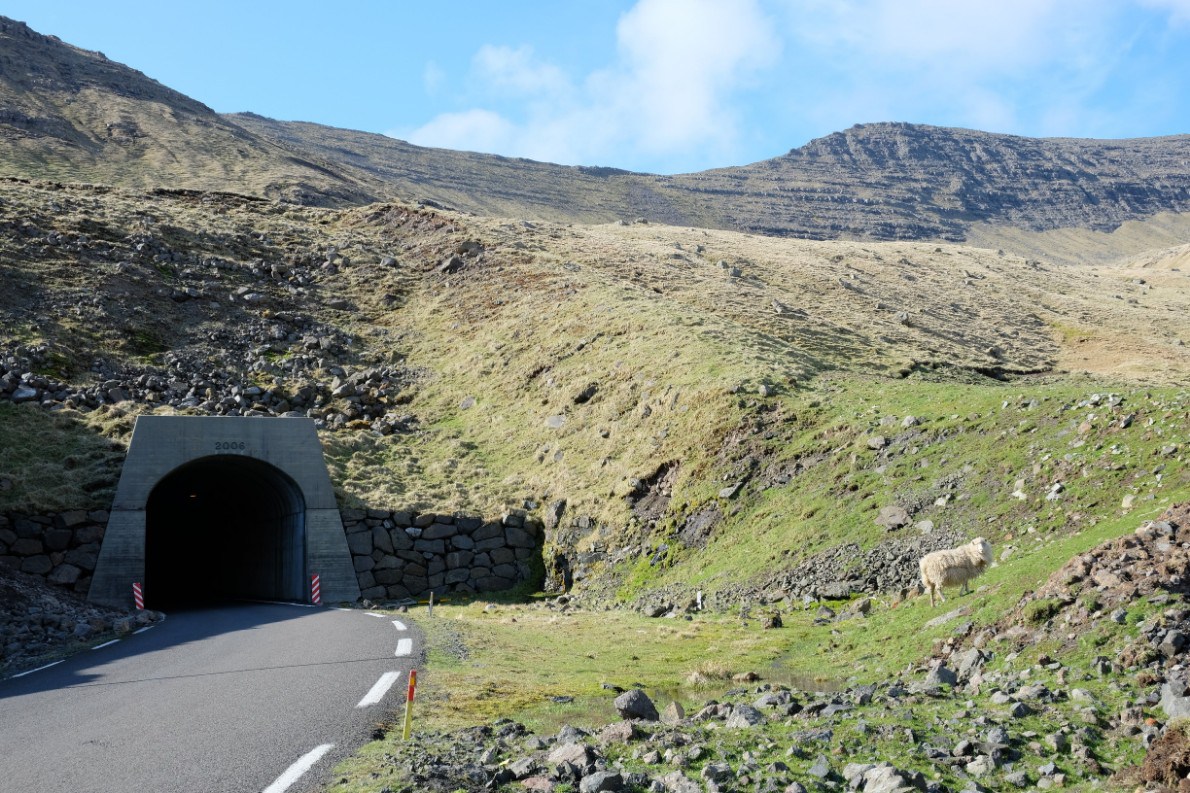 The tunnel to Gasadalur – and a sheep.