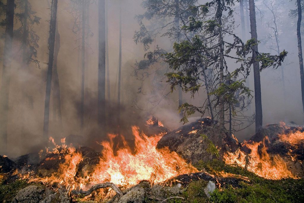 Most of Sweden's wildfires manmade and preventable – Eye on the Arctic