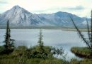 U.S. House panel quietly advances Arctic drilling and other Alaska oil developments
