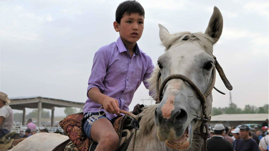 Horses for sale at the weekly animal market in Osh, Kyrgyzstan in the Fergana Valley. (Mia Bennett/Cryopolitics)