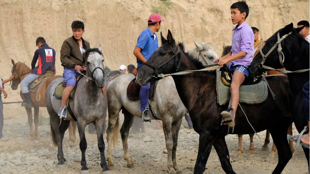 Horses for sale at the weekly animal market in Osh, Kyrgyzstan in the Fergana Valley. (Mia Bennett/Cryopolitics)