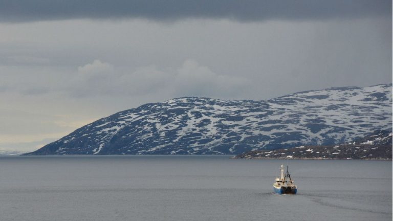 barents-sea-ecosystem-undergoing-dramatic-change-study-shows-eye-on