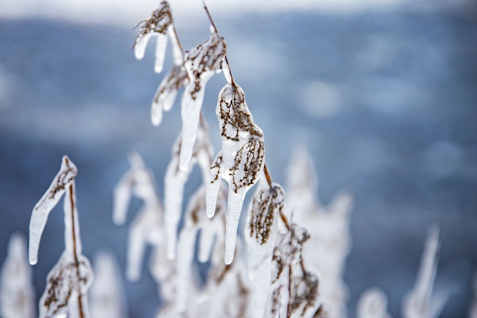 Last week, snow and ice transformed landscapes around Näsiärvi Lake in Tempere, southern Finland, but the ice cover remains thin nationwide. (Antti Eintola/Yle)