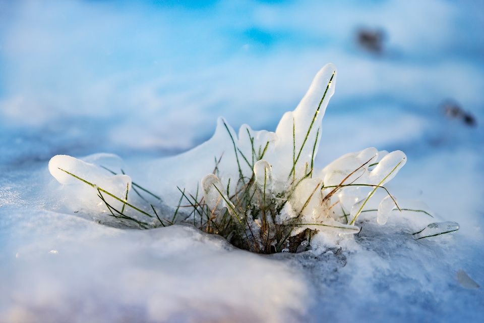 Last week, snow and ice transformed landscapes around Näsiärvi Lake in Tempere, southern Finland, but the ice cover remains thin nationwide. (Antti Eintola/Yle)