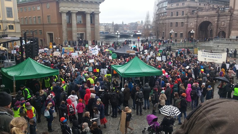 Protesters gathering early at Mynttorget, outside the Swedish parliament, where Greta Thunberg was set to speak shortly after noon. (Simon Linter/Radio Sweden Ekot)