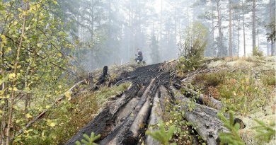 A firefighter is pictured near Seglingsberg, in Västmanland, Central Sweden, on August 6, 2014