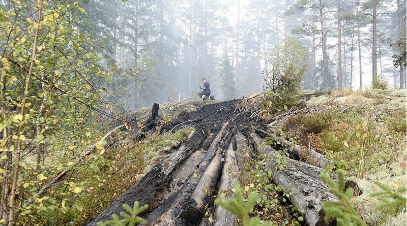 A firefighter is pictured near Seglingsberg, in Västmanland, Central Sweden, on August 6, 2014