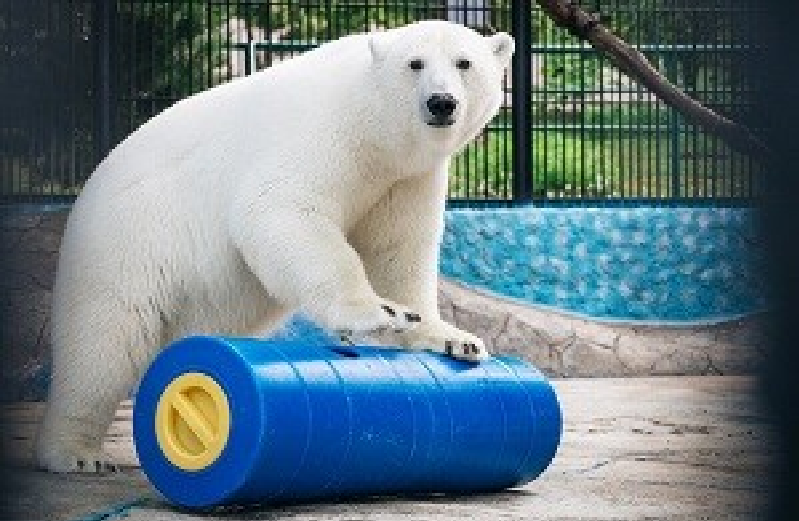 Russia's Rosneft gives oil barrel-looking toys to zoo-enclosed polar bears  – Eye on the Arctic