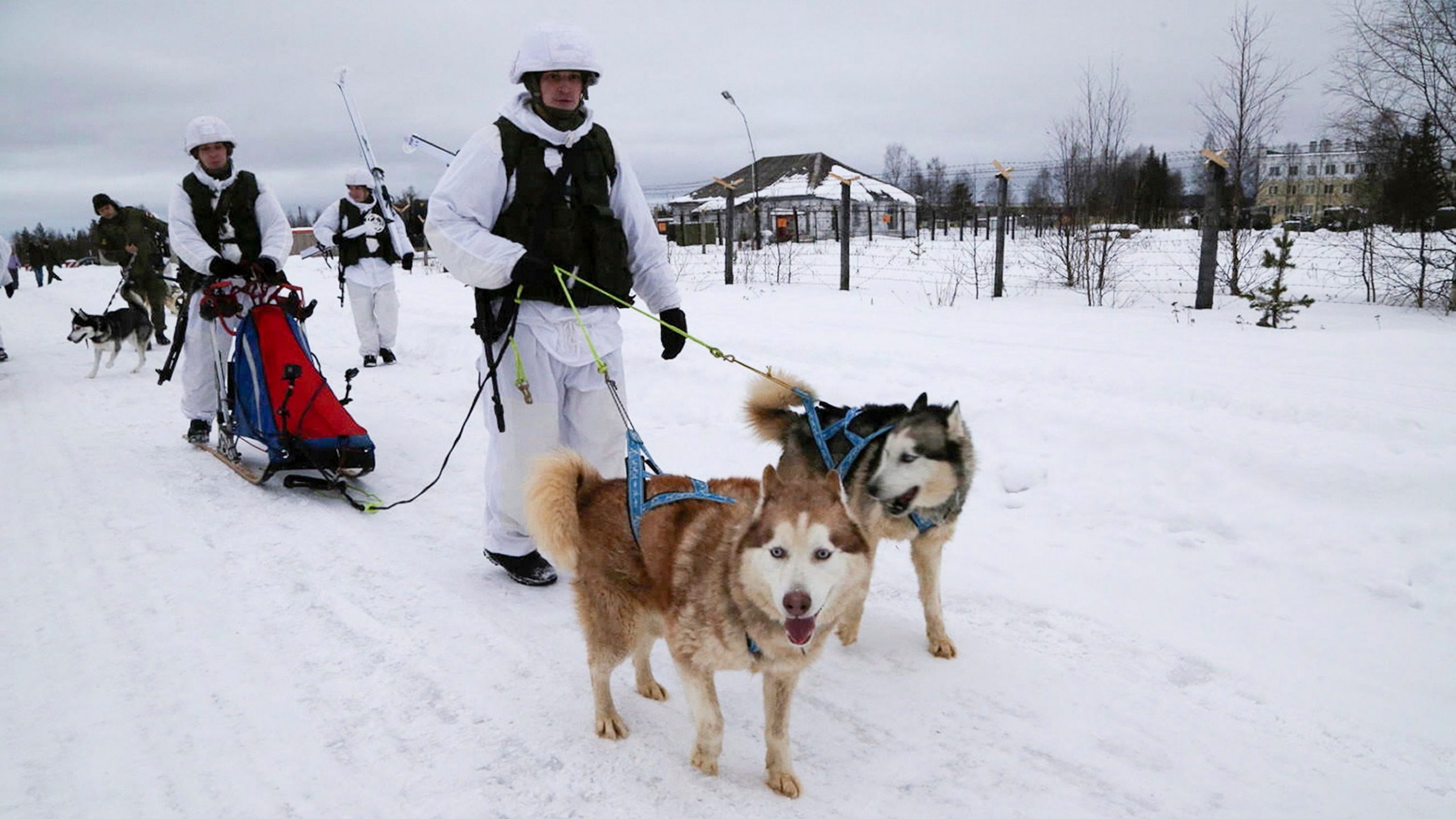 Mushers from Russia’s Arctic Brigade practice dog sledding along Finnish border