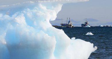 Ships located just outside of the city of Iqaluit in Canada's eastern Arctic. (Sean Kilpatrick/The Canadian Press)