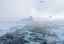 New guideline launched for Arctic-specific risk assessment in shipping