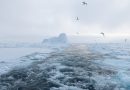 New guideline launched for Arctic-specific risk assessment in shipping New guideline launched for Arctic-specific risk assessment in shipping