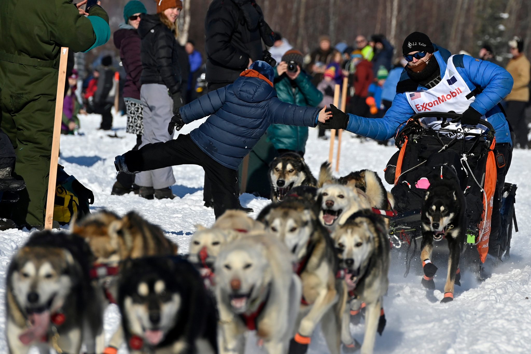 Iditarod Race 2025 Results Tommy Glynnis