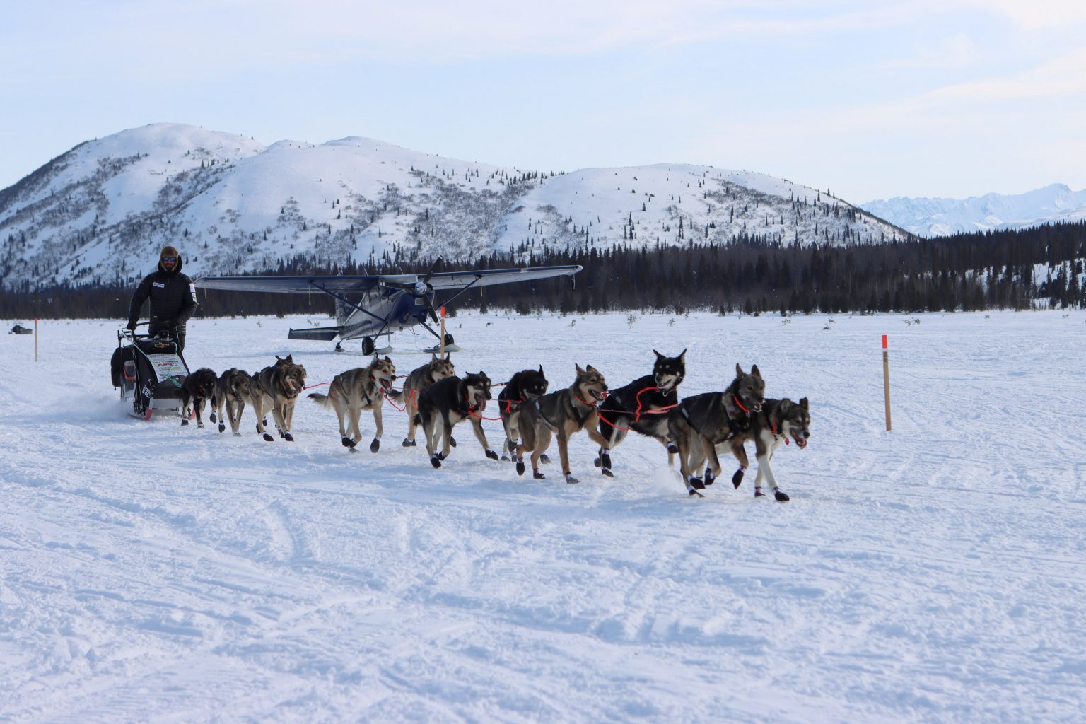 Iditarod musher tests positive for COVID19, withdrawn from race Eye