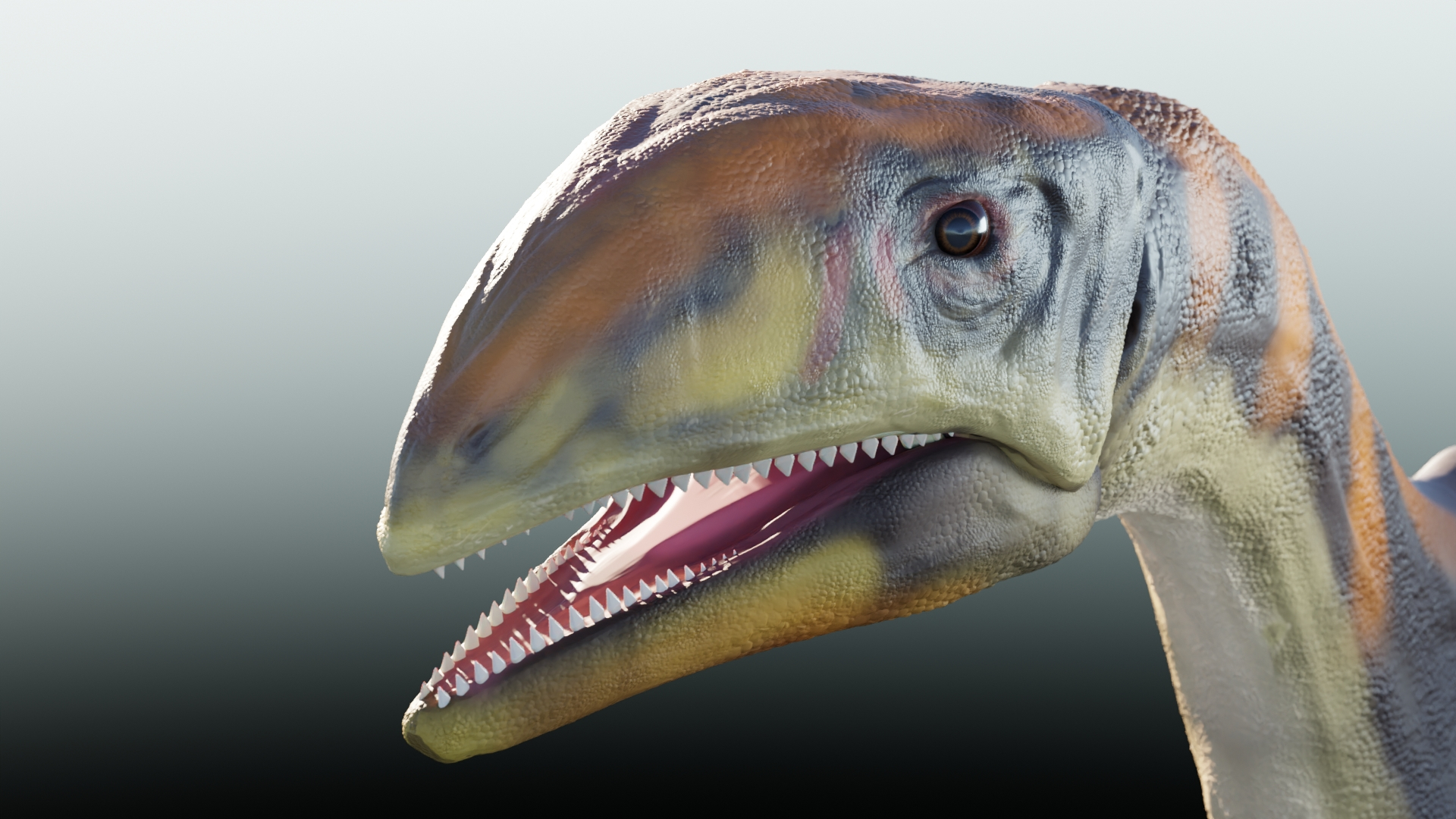 Discovery of the first dinosaur species to live in Greenland