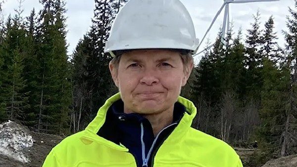 Wind farm delays in northern Sweden could hinder green revolution