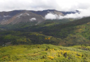 Climate change affecting composition of forests in Yukon, Canada, study finds