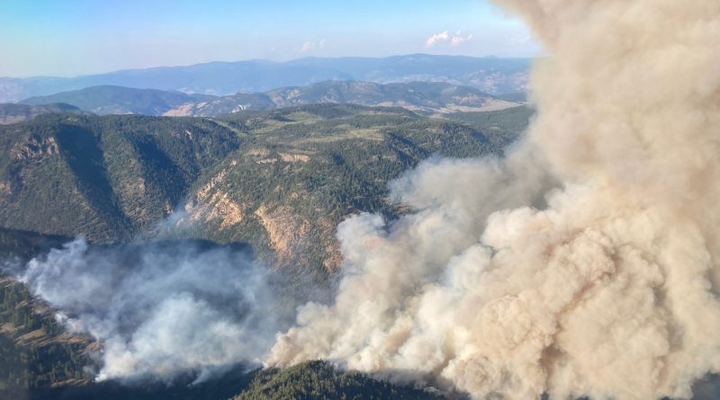 Unpredictable winds make wildfires an erratic adversary: experts
