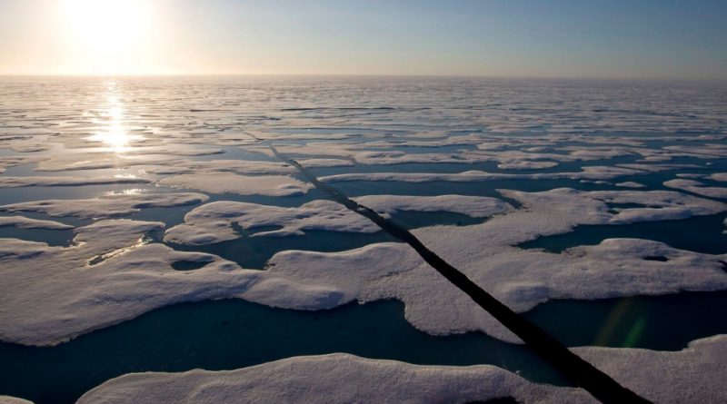 Arctic Ocean acidifying up to four times faster than any other sea on Earth