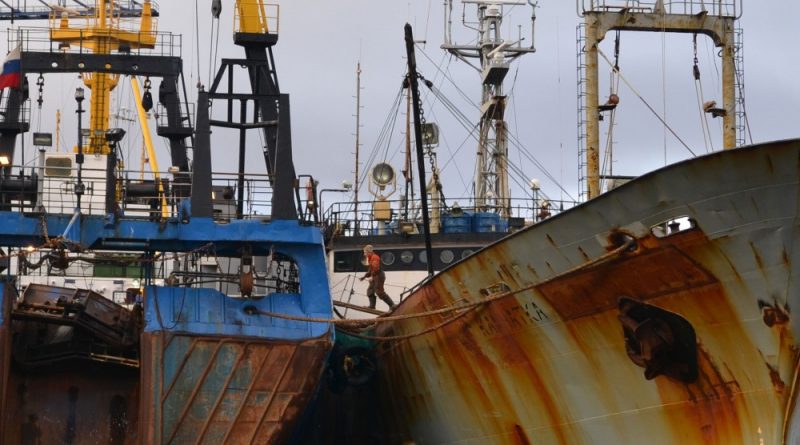 Large areas of Arctic seabed damaged by trawlers