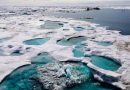 A reporter takes a deep dive on Trump-appointed chair of U.S. Arctic Research Commission