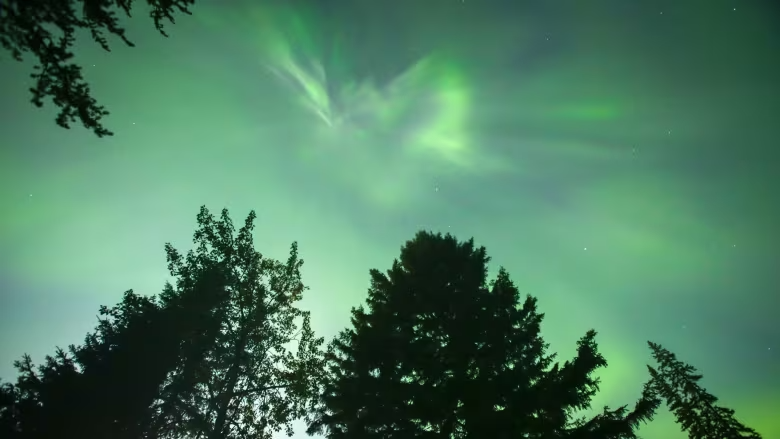 Solar storms behind Northern Lights could be a problem for future N.W.T. power grids