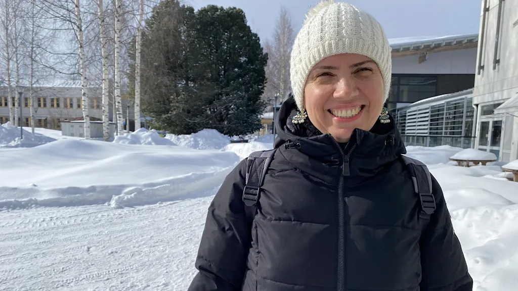 100 000 new residents needed to fill jobs in northern Sweden Eye