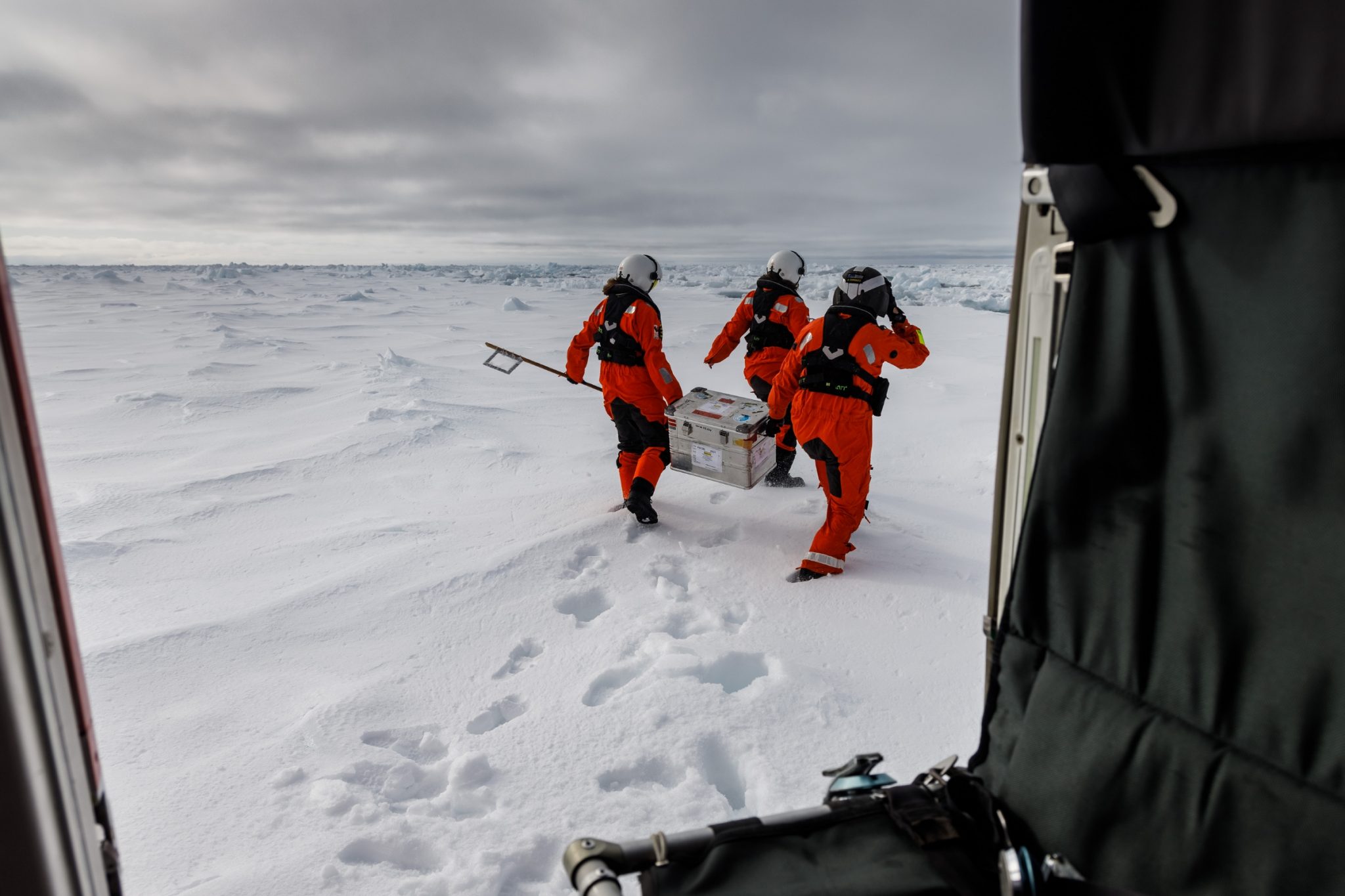 Arctic ice algae highly polluted with microplastics, poses food chain ...
