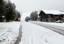 ‘Varpu’ storm fells trees and cuts power in south, brings ‘first snow’ to Lapland