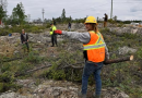 Severe wildfires will have long-lasting impact on N.W.T.’s boreal forest