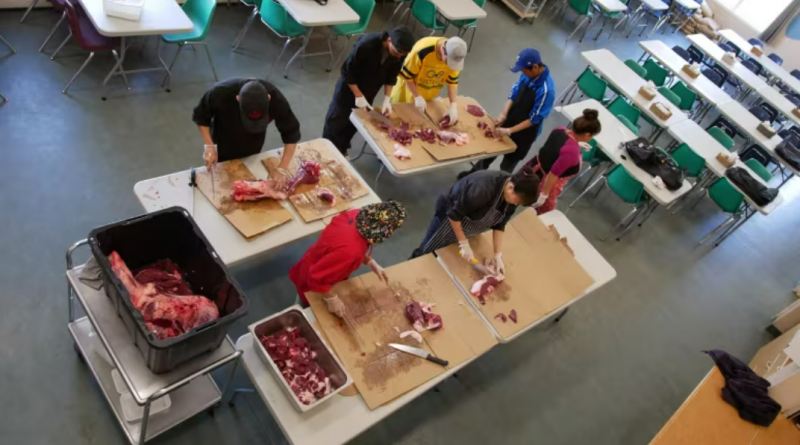 Nunavut organization calls for more country food and more money to support school food program