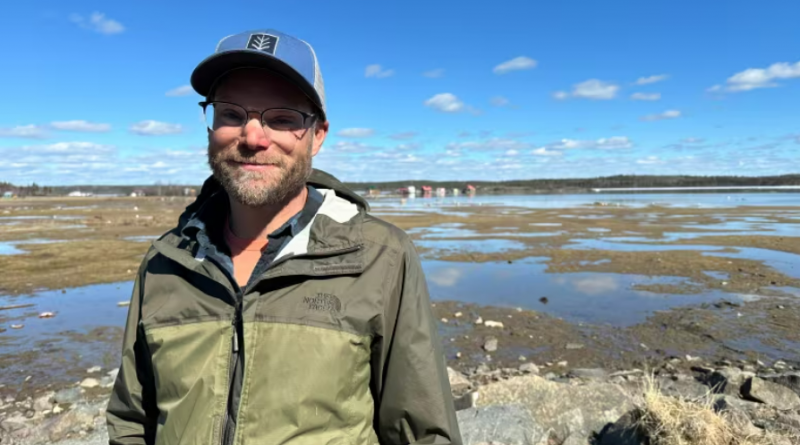 Low water in Yellowknife Bay not increasing arsenic risk says official, researcher