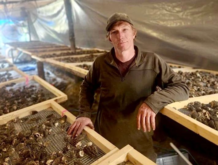 A man stand in front of mushrooms