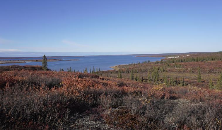 De la végéation aux couleurs de l'automne autour du lac Horton, aux Territoires du Nord-Ouest.
