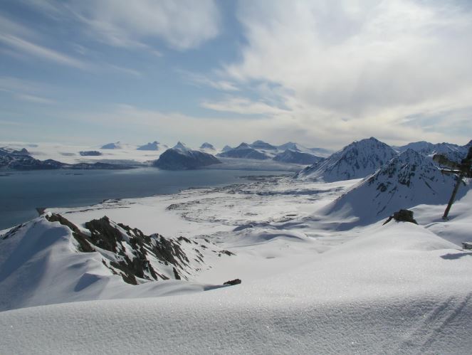 land area covered with ice
