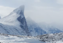 Polar bear attacks and injures skier in Nunavut national park