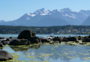 Canadian company behind Haines, Alaska, exploration project  plans to sell