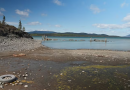 Unusually low water in Yukon lakes this spring a sign of climate change: expert