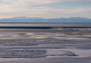 U.S. appeals court refuses to vacate Biden approval of Alaska’s Willow oil project