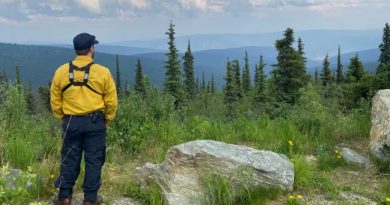 a man standing looking off into a valley