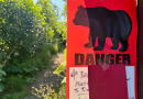Anchorage, Alaska, warns hikers after 2 bear attacks in a week