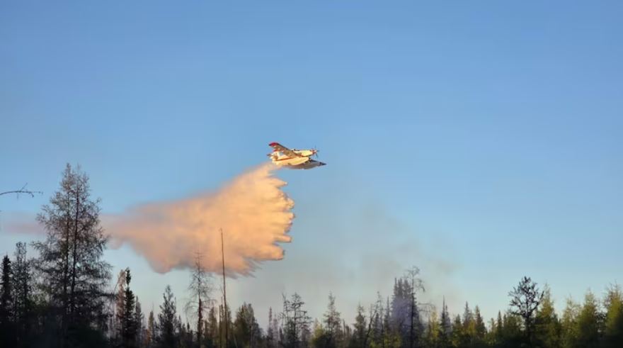 Airplane drops water over trees.