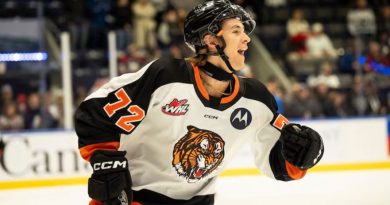 A young hockey player celebrates on the ice.