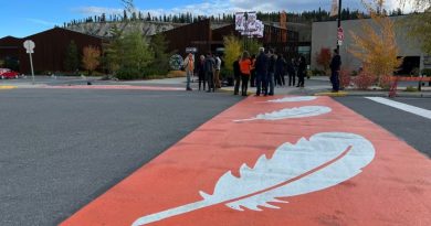 White feathers on orange crosswalk