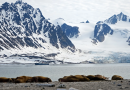 The Emirates joins Svalbard Treaty