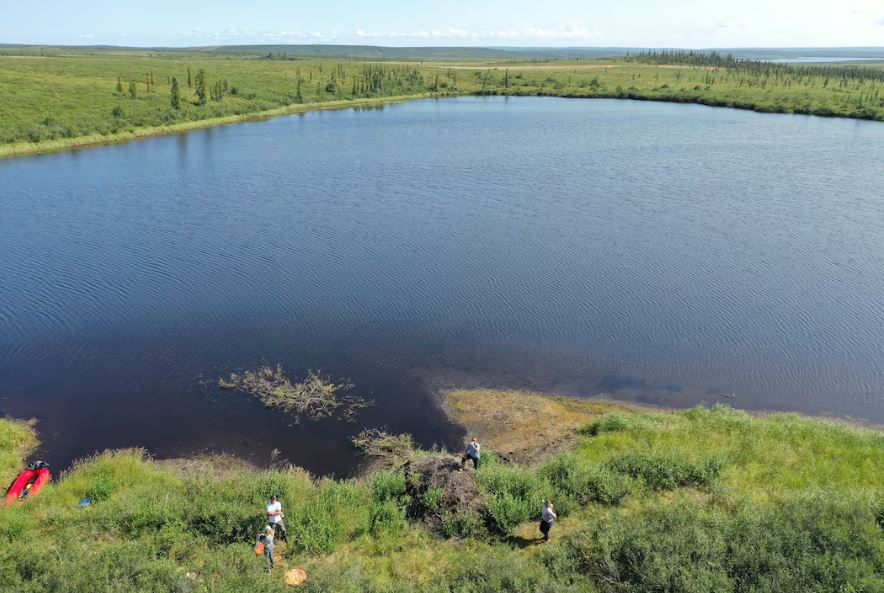 Beaver lodge site