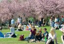 Heatwave temperatures possible next week