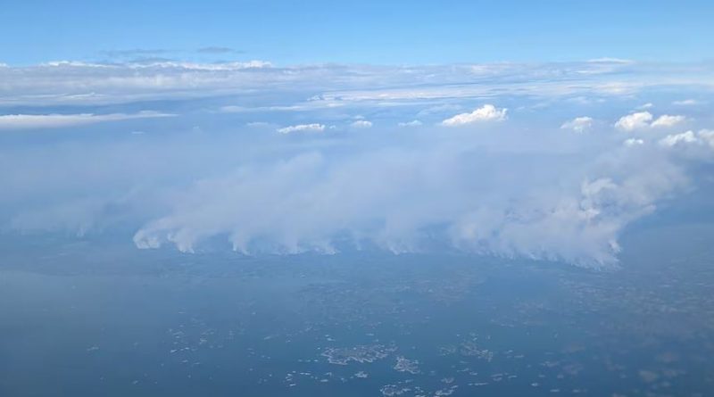 An aerial view of wildfire smoke.
