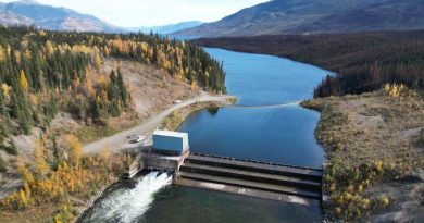A dam in the wilderness.
