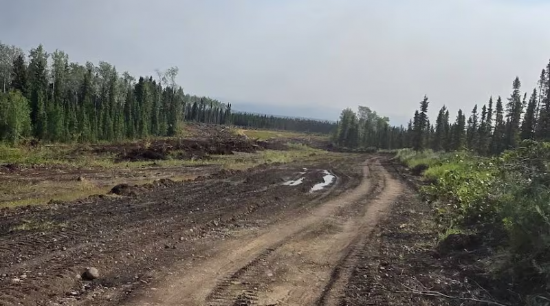 Back burning planned to head off wildfire near Wrigley, N.W.T.